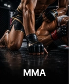 RedSlot Casino MMA betting